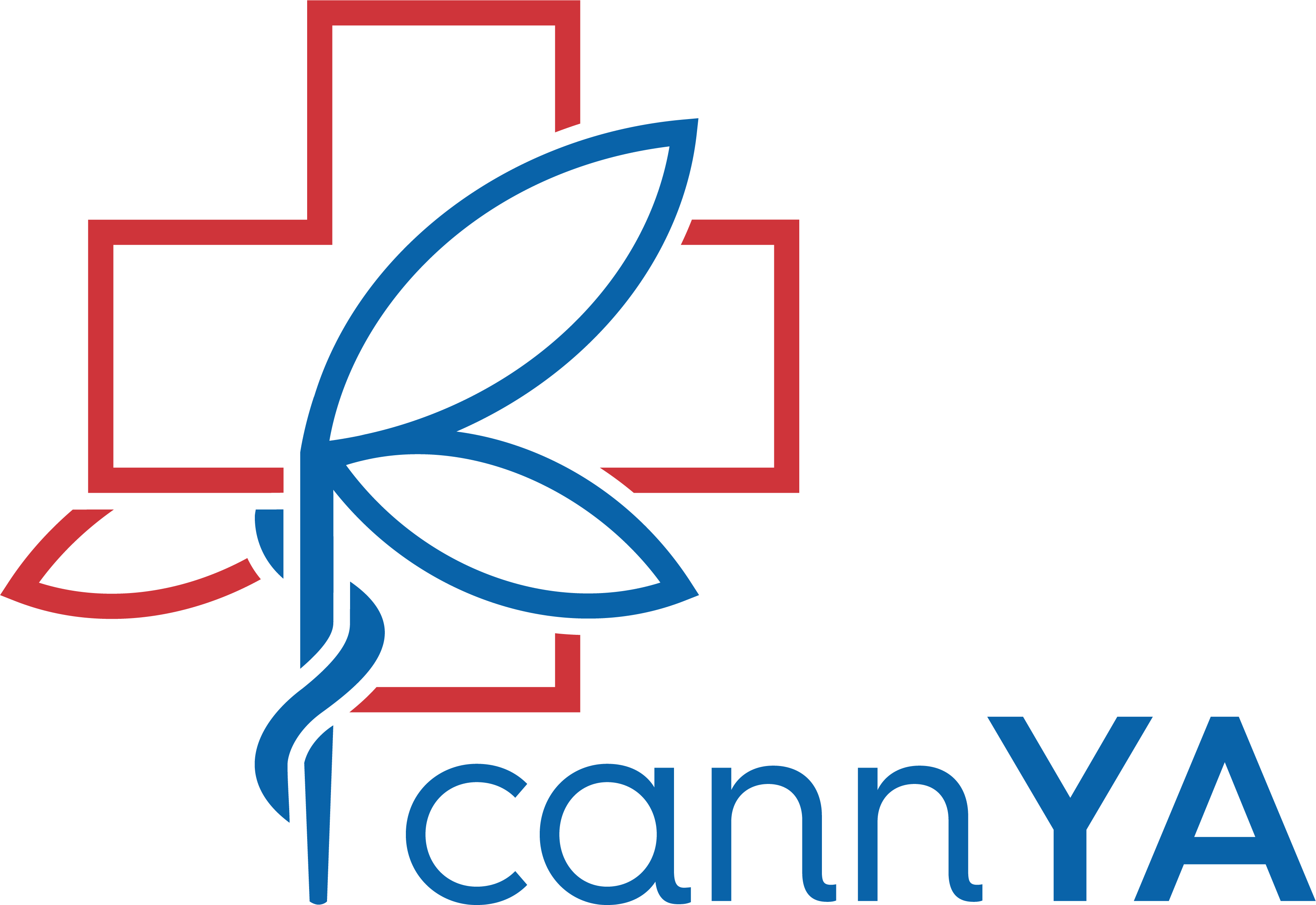 cannYA